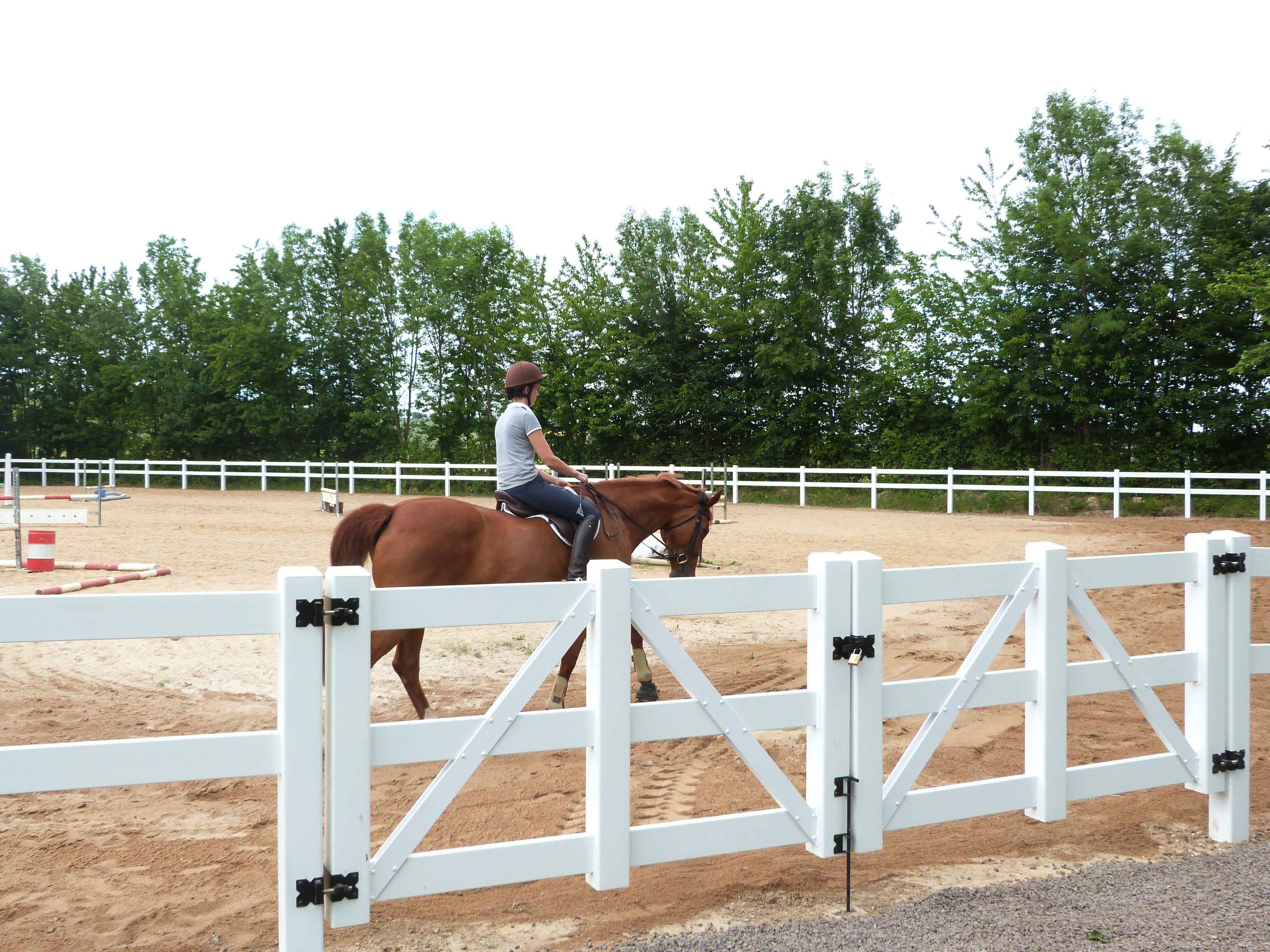 En kvinnlig ryttare leder sin häst runt på en hoppbana. Arenan är avgränsad av ett häststängsel av vit plast.