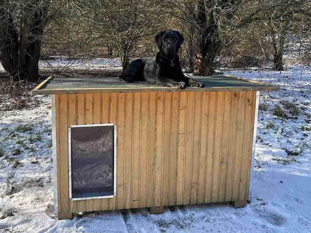 Svart hund vilar ovanpå en hundkoja i ett vinterlandskap.