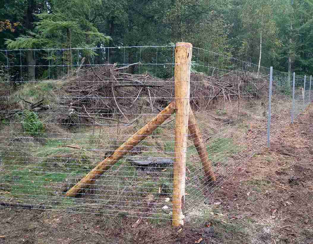 Hörnet av ett skogsstängsel med en trästolpe. Tillverkad i nätstängsel.