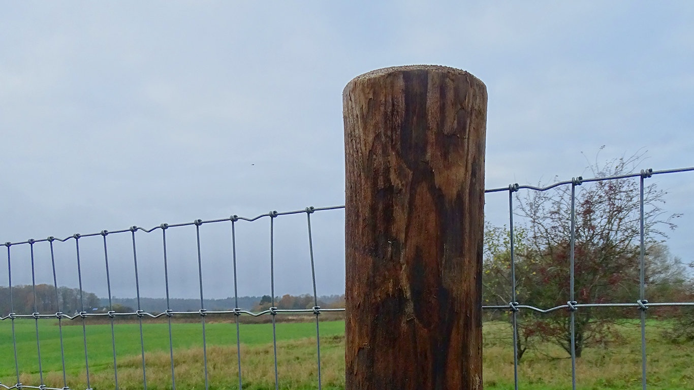 FaunaWood trästolpe med fastsatt nätstängsel i ett öppet landskap.