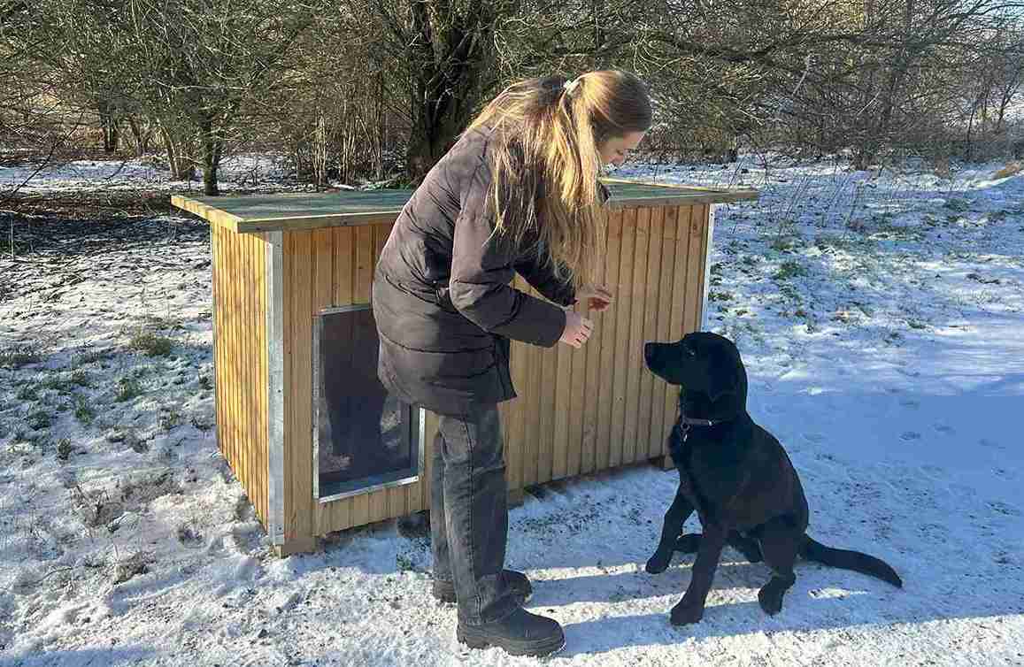 Kvinna ger en svart hund en godbit framför en hundkoja i ett vinterlandskap med snö på marken.