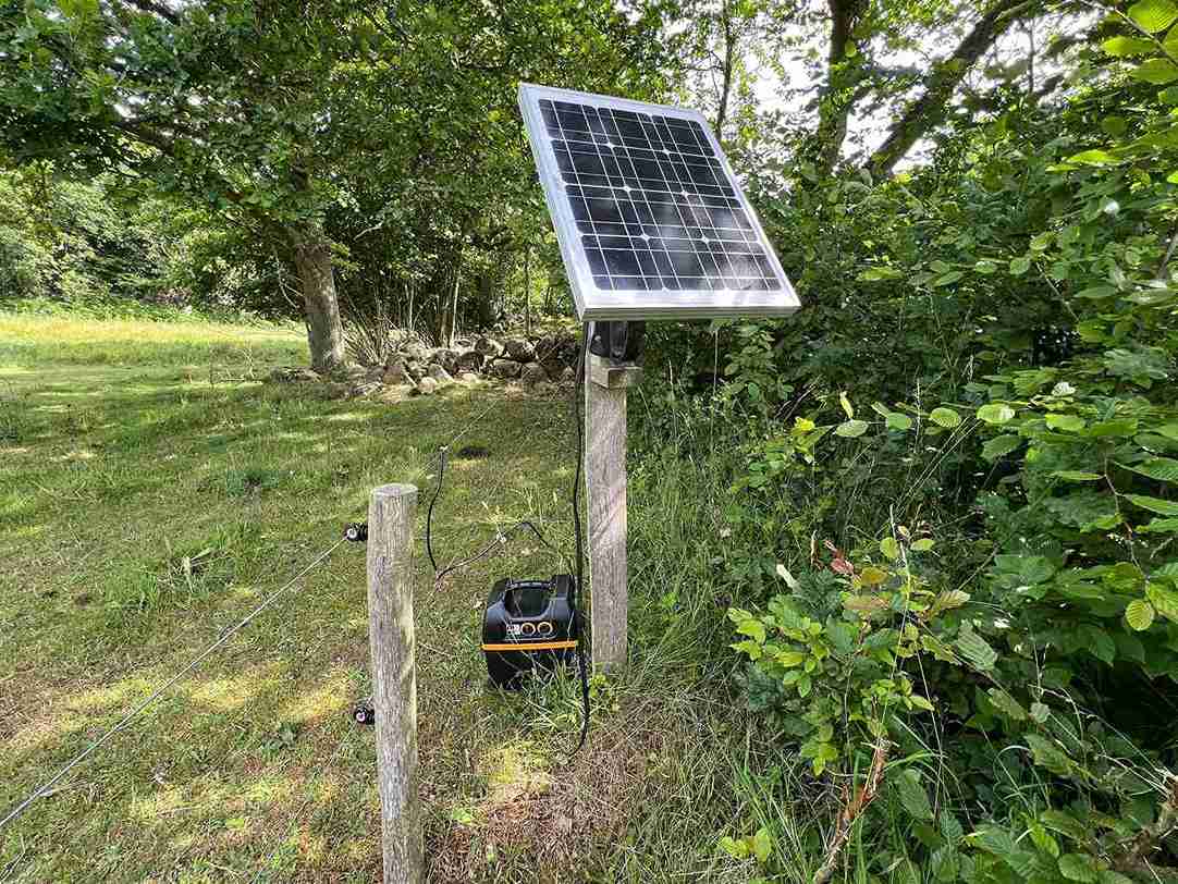 Ett solcellspanel kopplat till ett elstängselaggregat vid skogsbrynet, monterat på en stolpe intill ett elstängsel i grön omgivning.