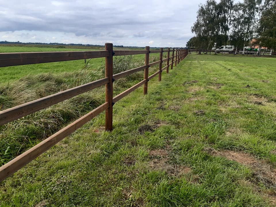 Ett staket med tre slanor skiljer en hästhage från en åker.