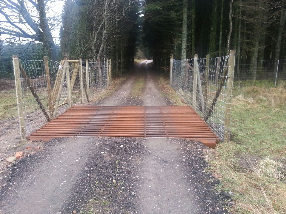 En färist vid infarten till en skog