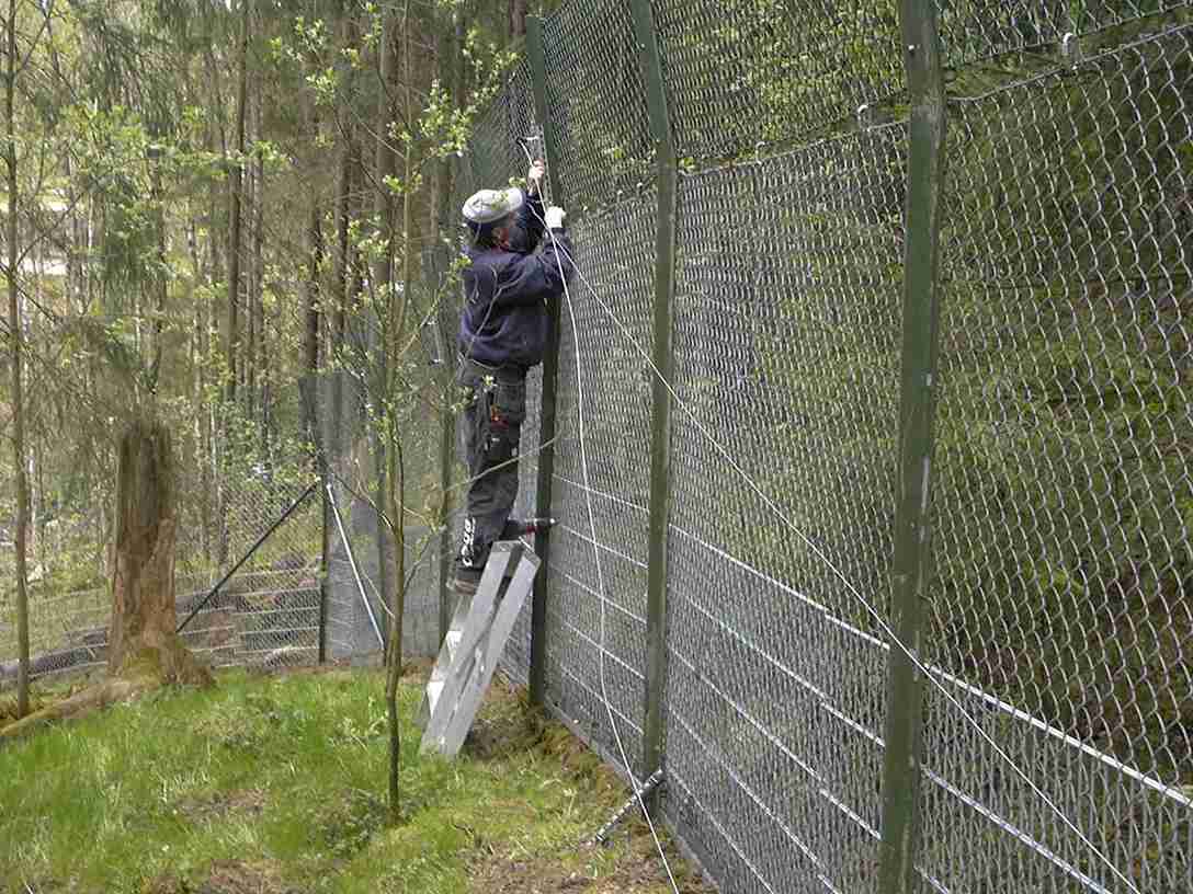 En man installerar elektriska ledningar ovanpå ett högt staket i en djurpark.