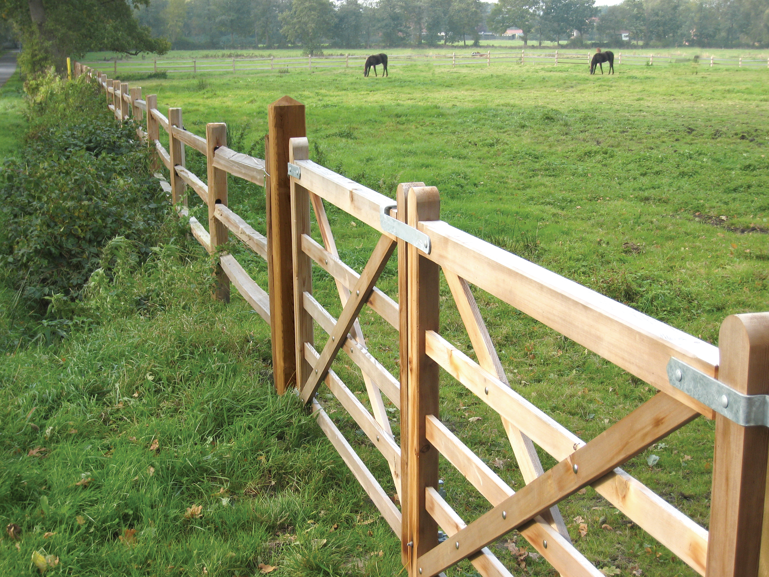 Två träportar och ett rustikt häststängsel av cederträ bildar en hästhage där två hästar betar.