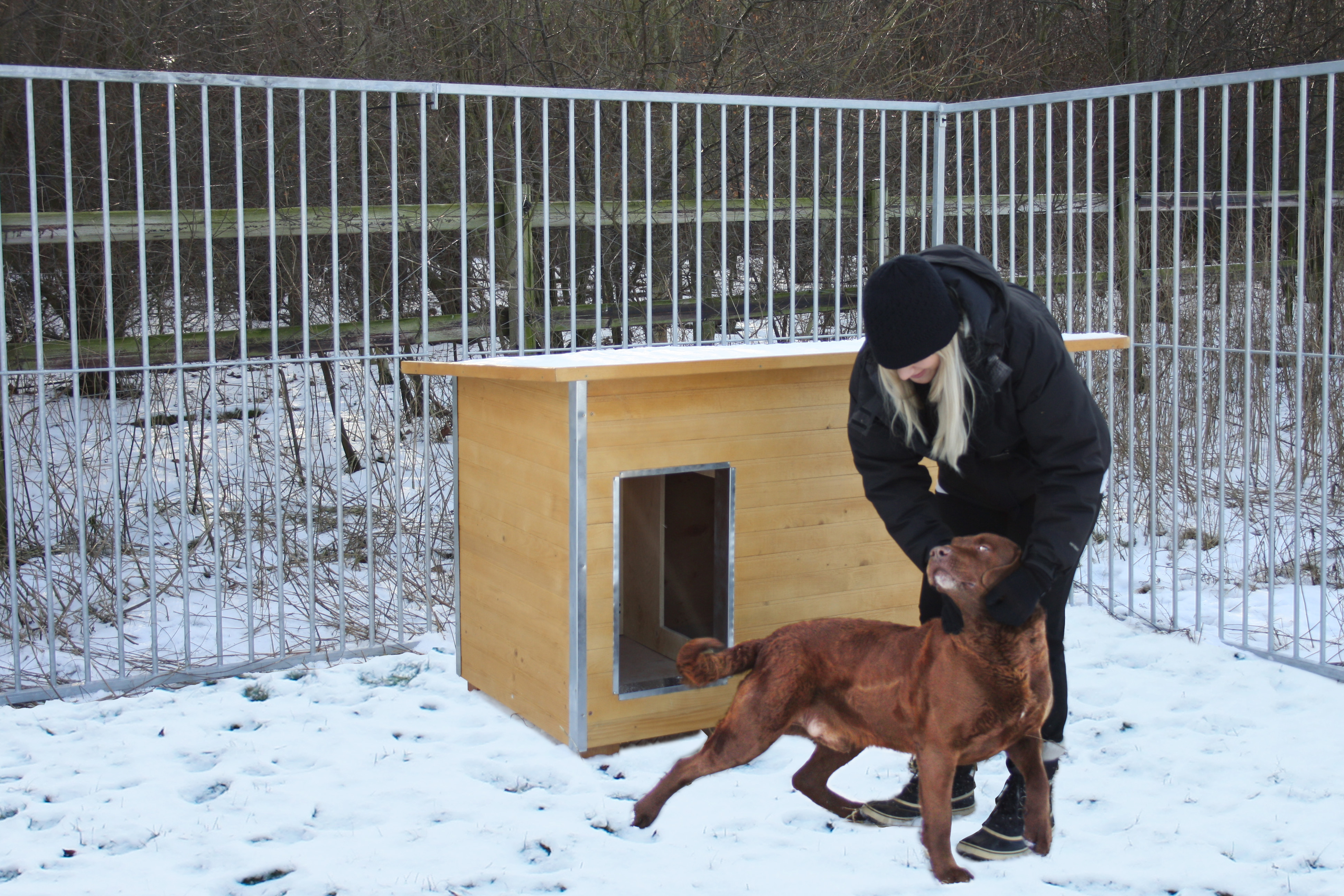 En kvinna klappar en hund på en snöig hundgård. Bakom dem står en hundkoja av trä.
