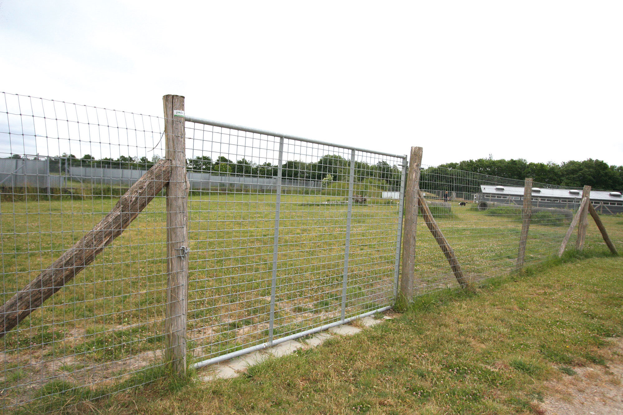 En hög stålgrind ger tillgång till en hundrastgård.