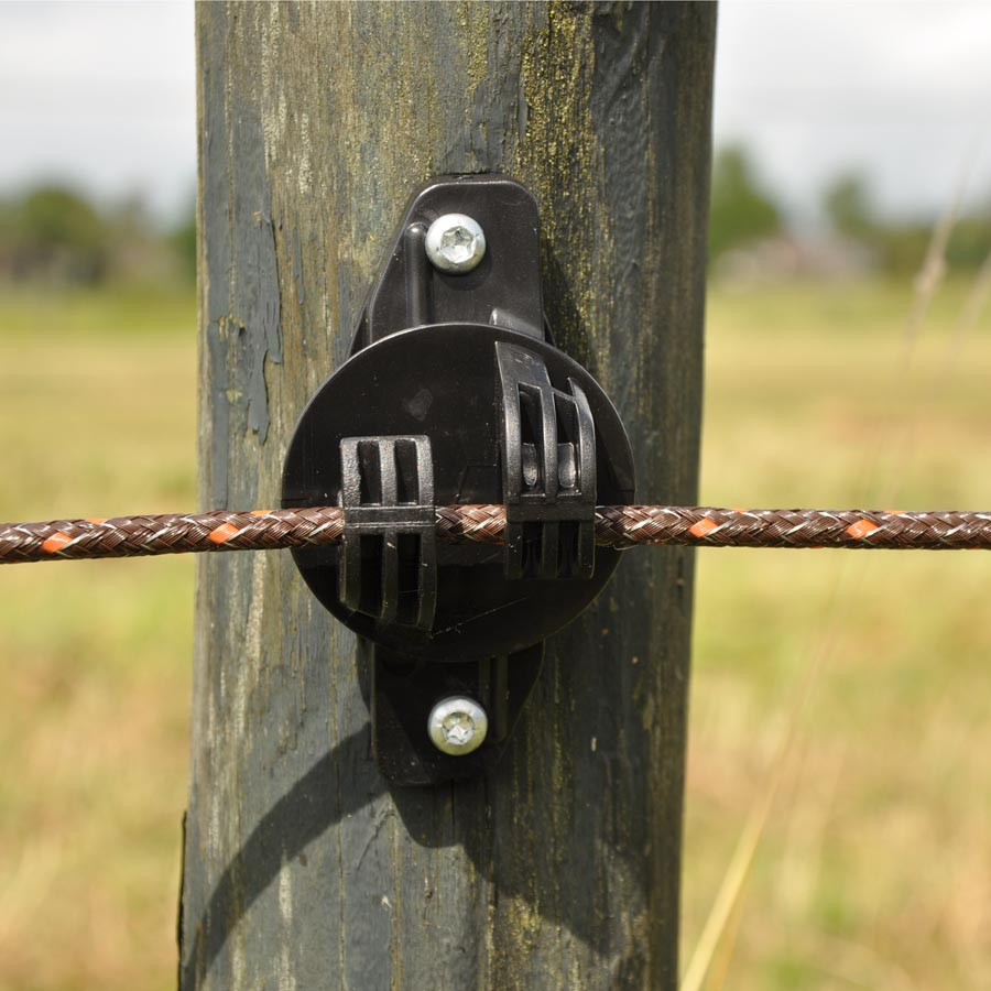 En elektrisk tråd till ett elstängsel hålls på plats av en isolator som är monterad på en stängselstolpe.