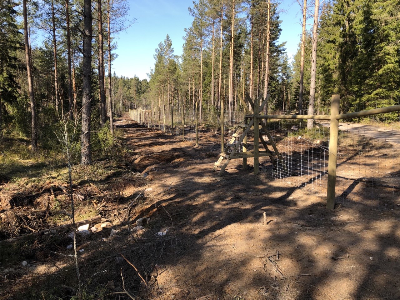 Ett skogsstängsel skyddar ett skogsområde mot vilda djur och inkräktare.