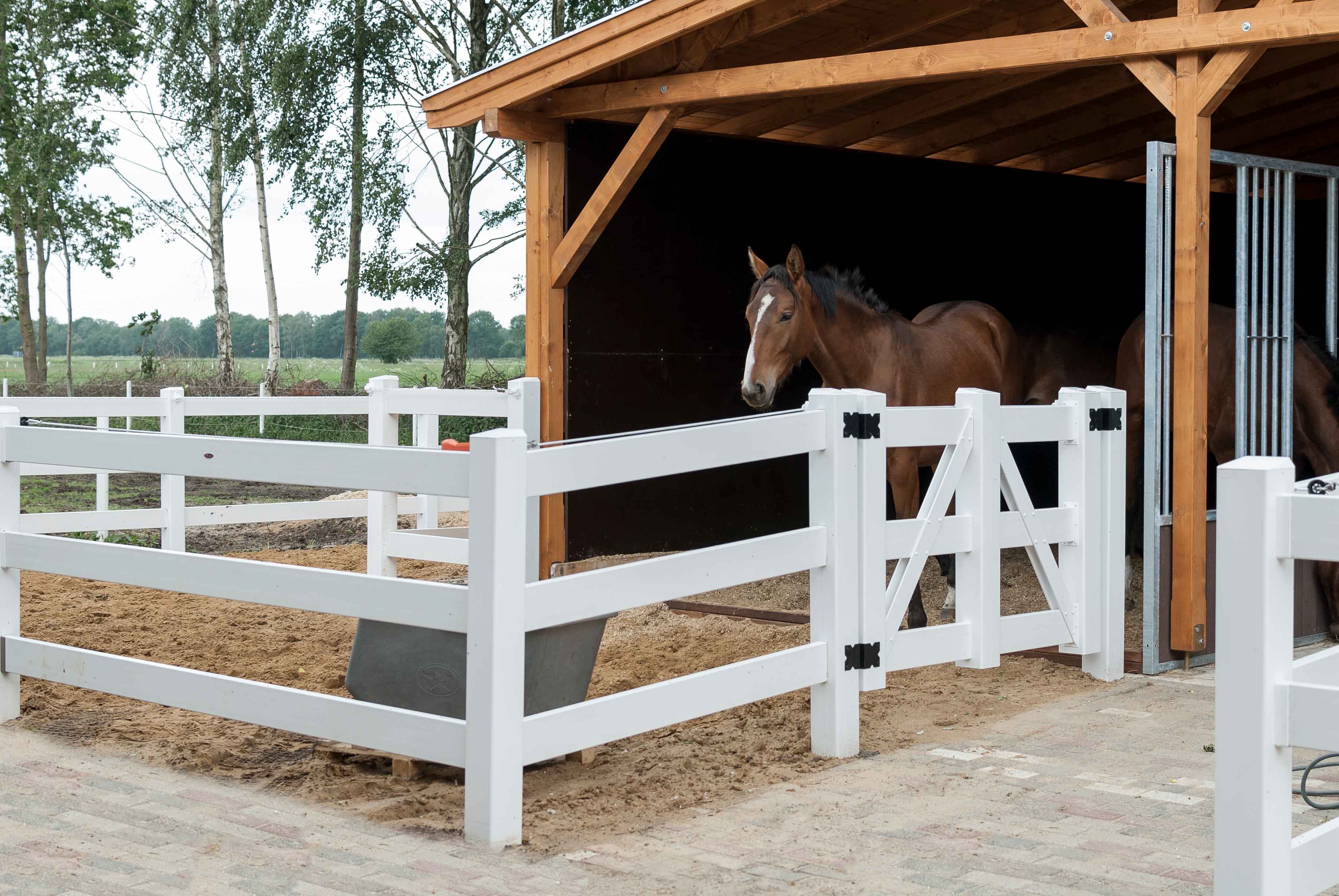 En brun häst står i ett skydd och tittar ut på ett litet fält som är omgivet av ett vitt häststängsel.