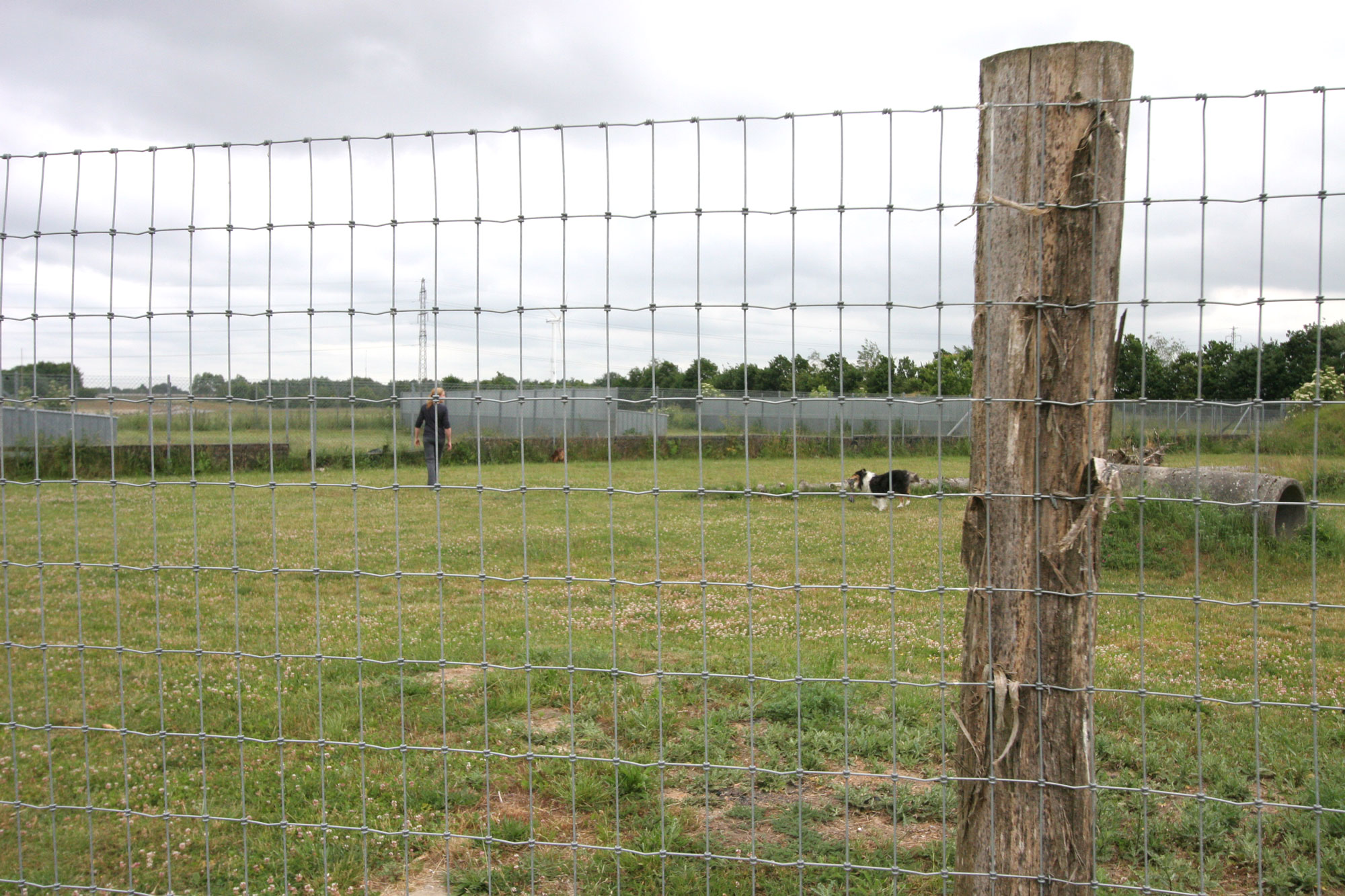 Ett högt staket omgärdar en löpbana där en hund och en person går omkring.