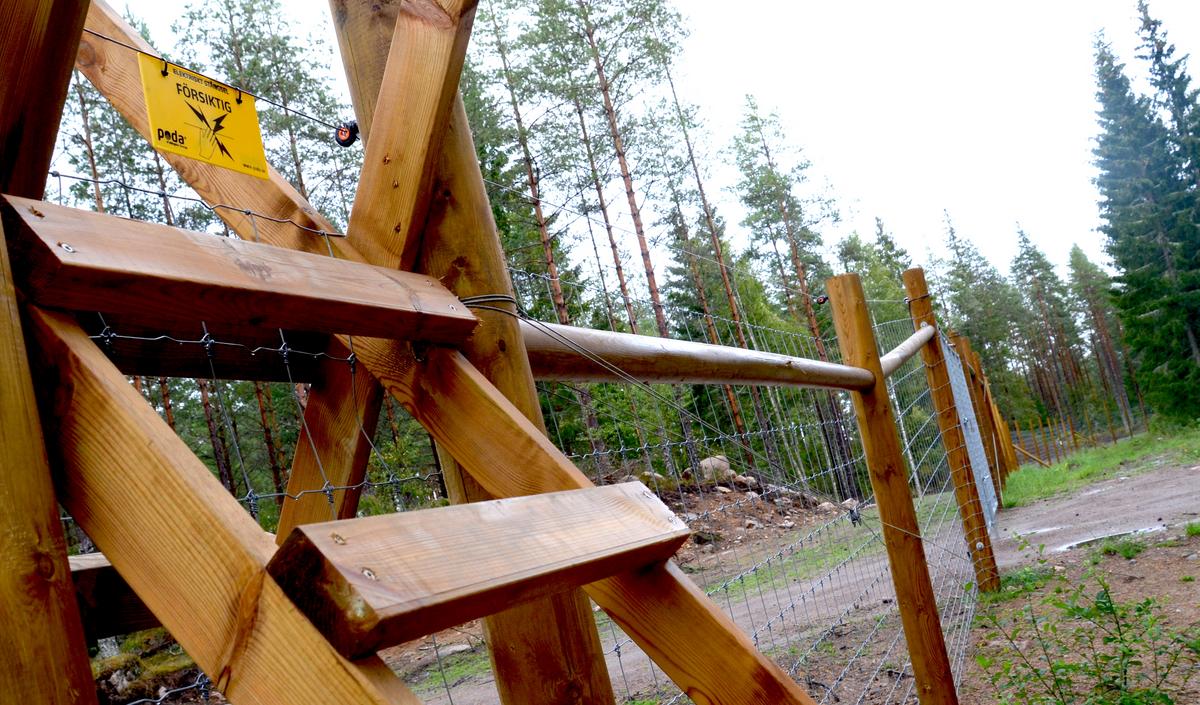 I förgrunden finns en trappa som gör det möjligt för människor att korsa ett skogsstängsel.